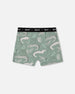 Printed Organic Cotton Boxer Shorts Light Sage And Gray Crocodile - G30PB60_043