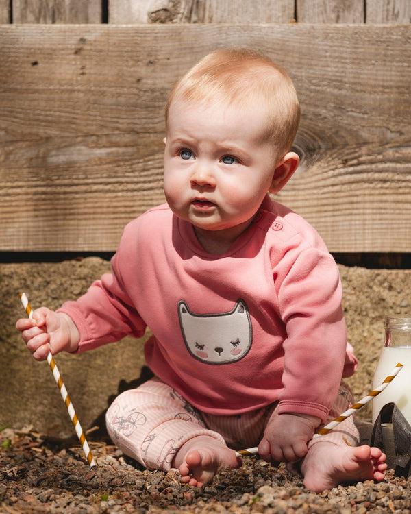 Organic Cotton Pant With Top Set Pink Cat Print - H20B11_049
