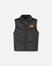 Quilted Mid-Season Sleeveless Vest Black - H20W63_999