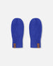 Ribbed Knit Mittens Royal Blue - H30WT26_04690